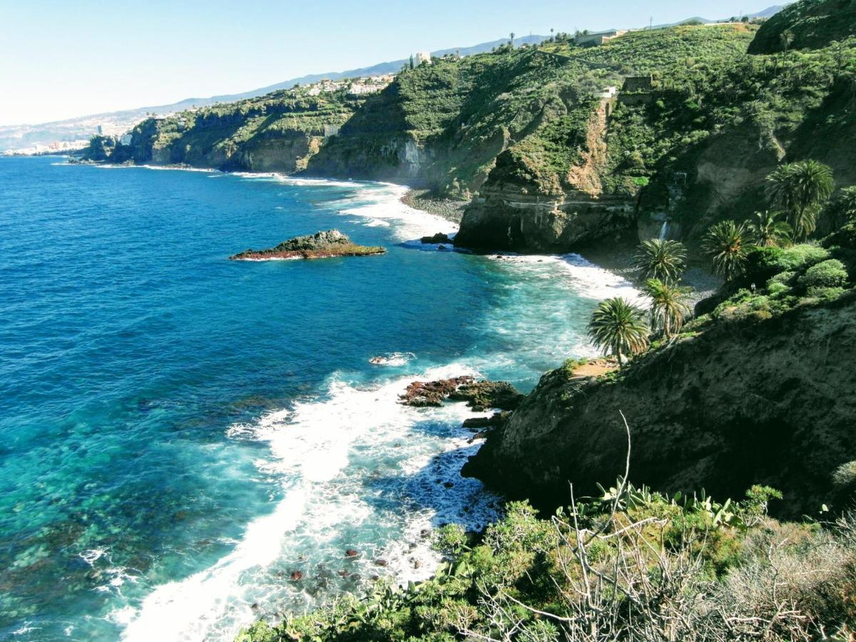 La Pardela Oceanfront Διαμέρισμα Λος Ρεαλέχος Εξωτερικό φωτογραφία