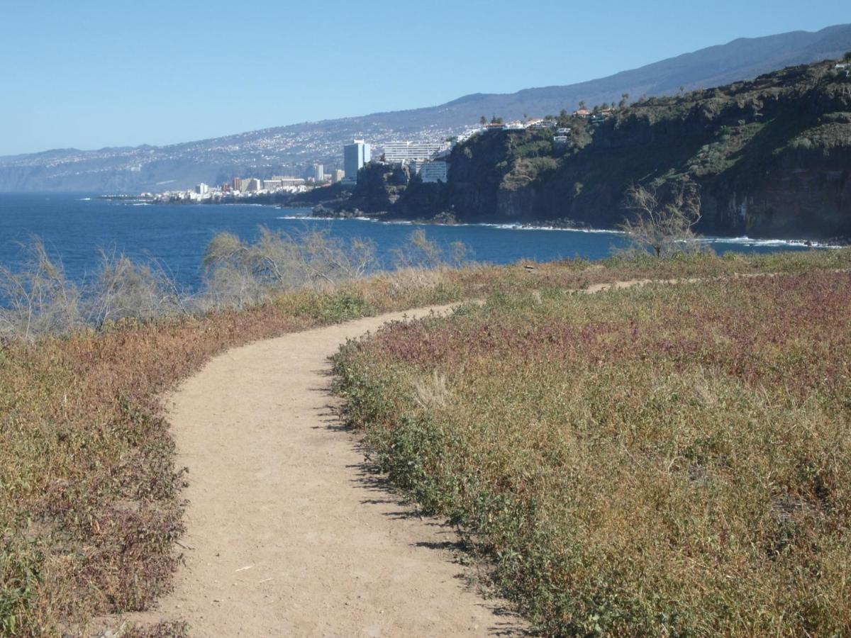 La Pardela Oceanfront Διαμέρισμα Λος Ρεαλέχος Εξωτερικό φωτογραφία