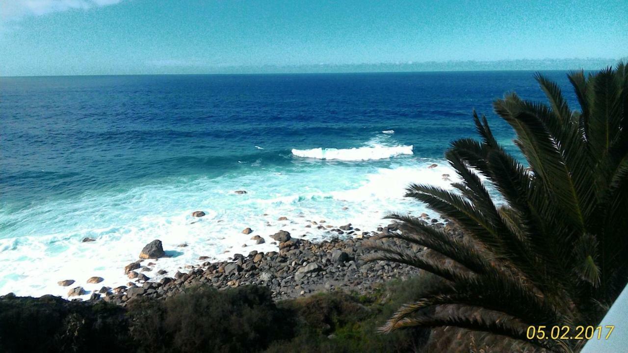 La Pardela Oceanfront Διαμέρισμα Λος Ρεαλέχος Εξωτερικό φωτογραφία