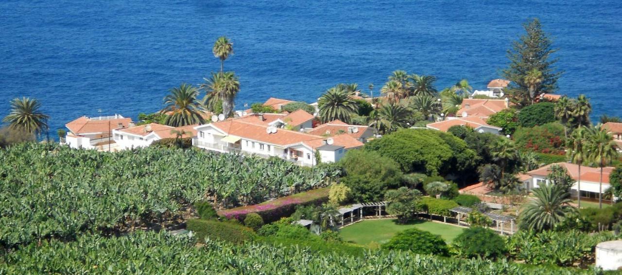 La Pardela Oceanfront Διαμέρισμα Λος Ρεαλέχος Εξωτερικό φωτογραφία