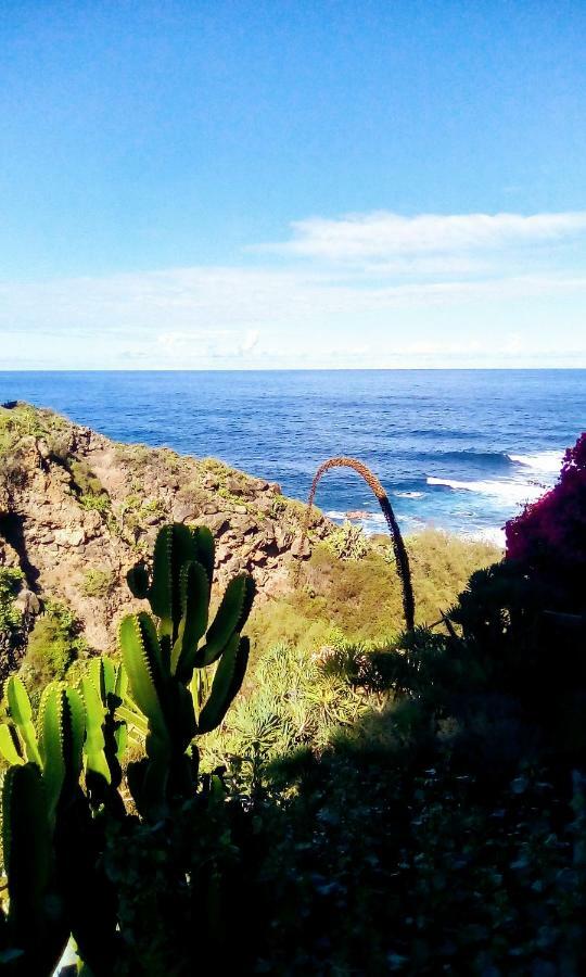 La Pardela Oceanfront Διαμέρισμα Λος Ρεαλέχος Εξωτερικό φωτογραφία